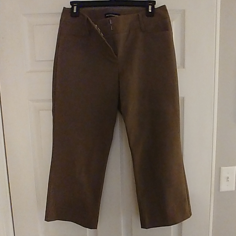 Express Dress Pants